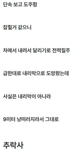 20대 음주 운전자 사망...