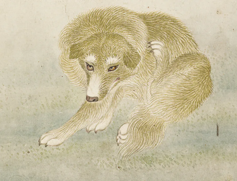 조선시대 개와 강아지 그림