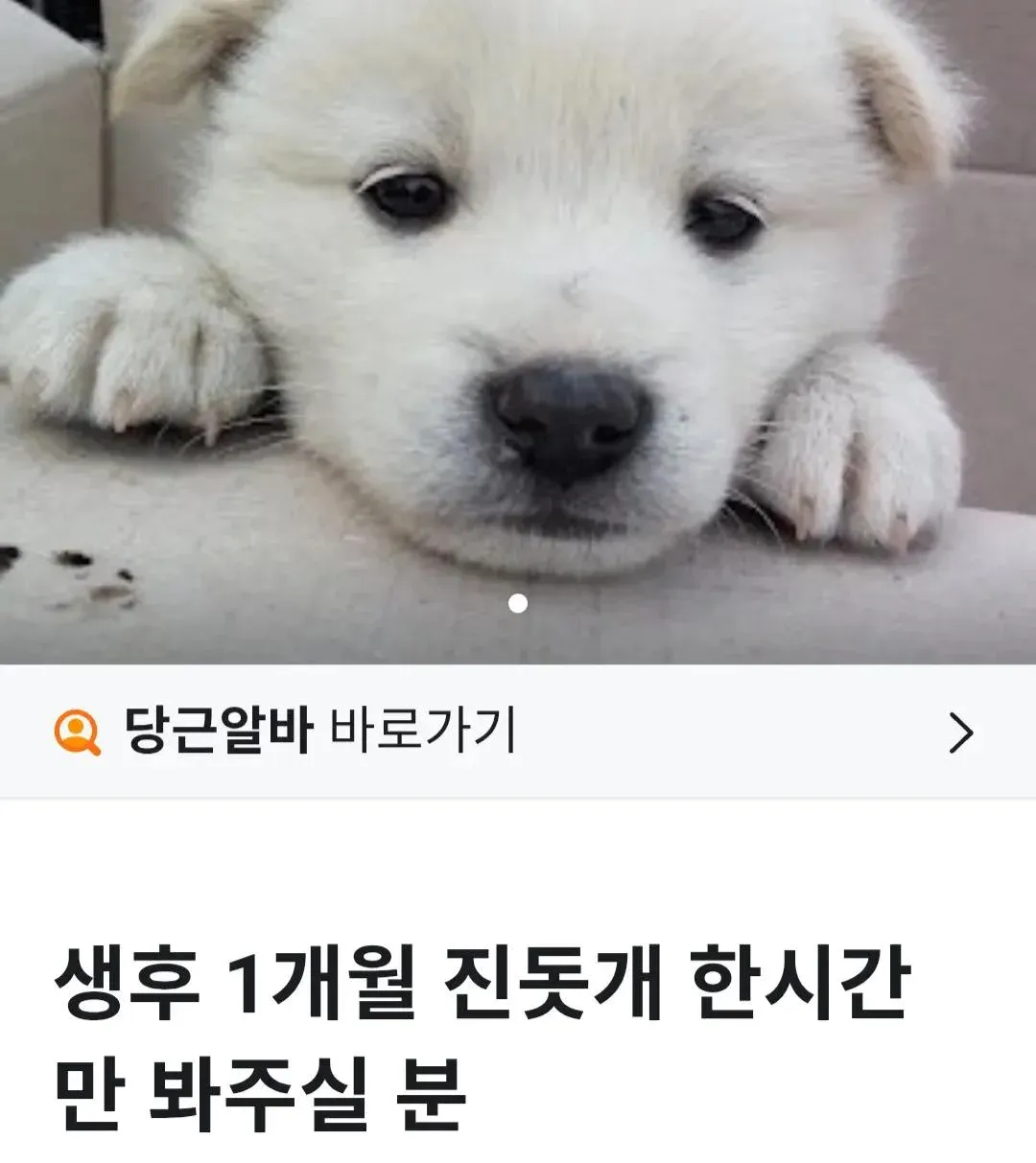 전국에서 가장작은빌딩 탄생썰