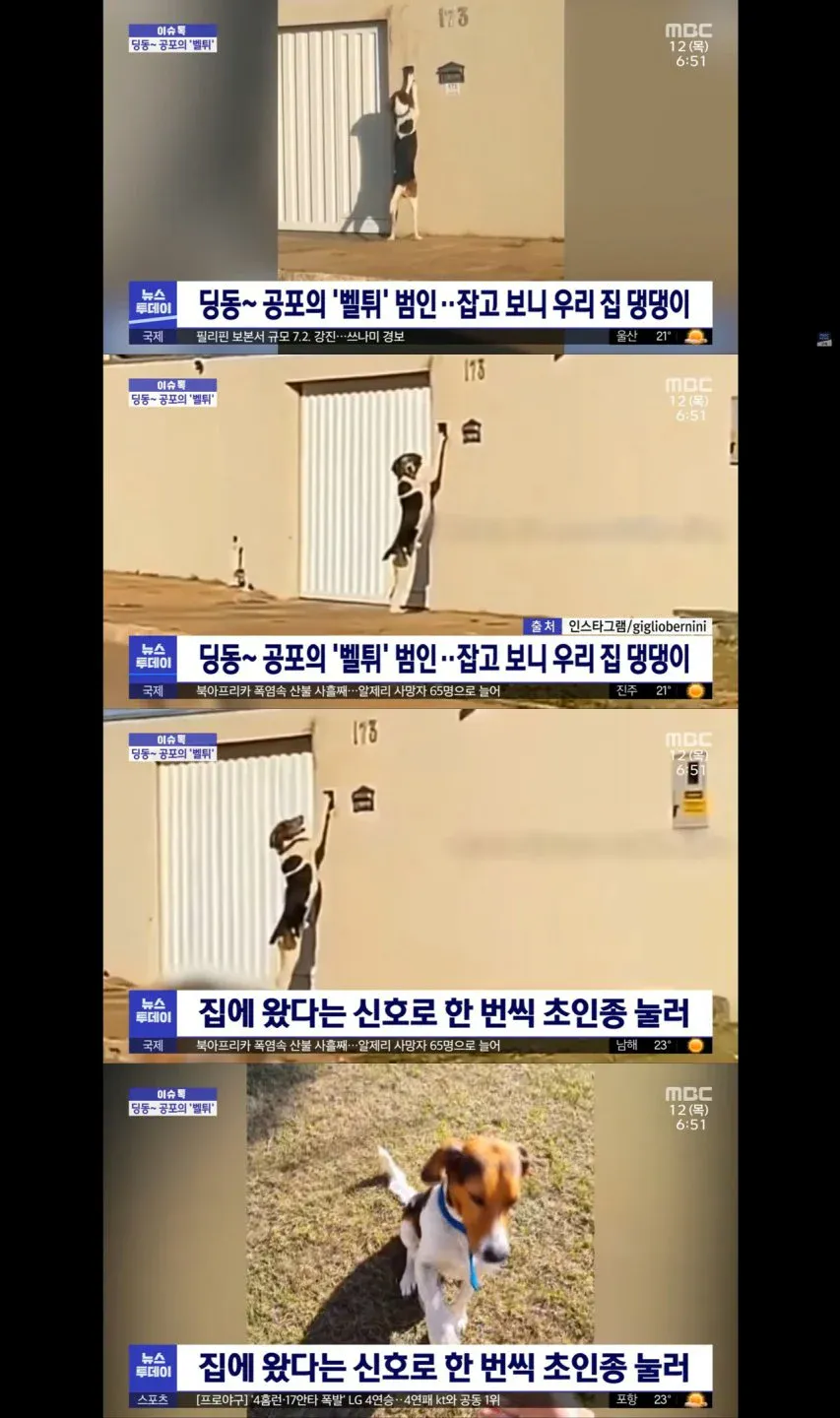 벨튀 범인...드디어 검거
