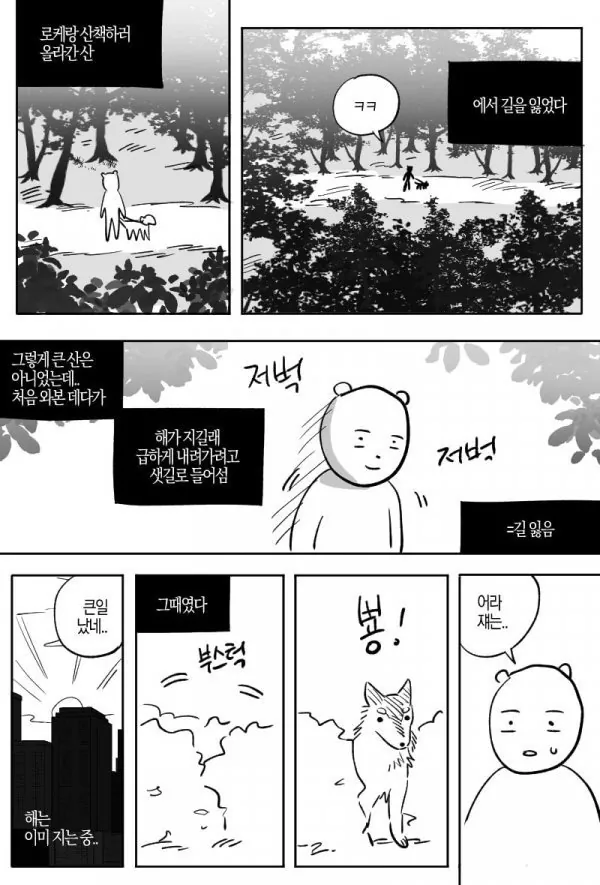 산책중에 만난 길 안내 해주던 유기견