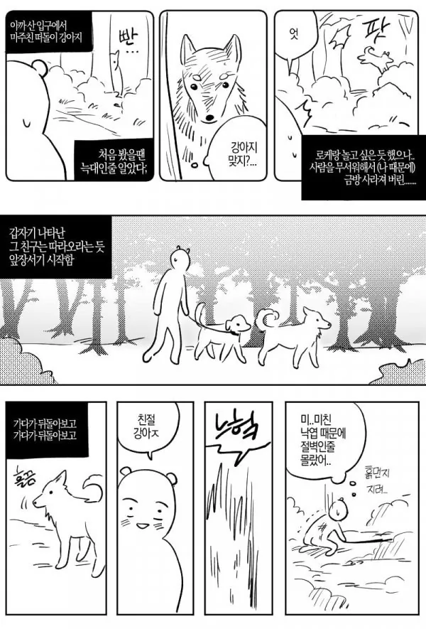 산책중에 만난 길 안내 해주던 유기견