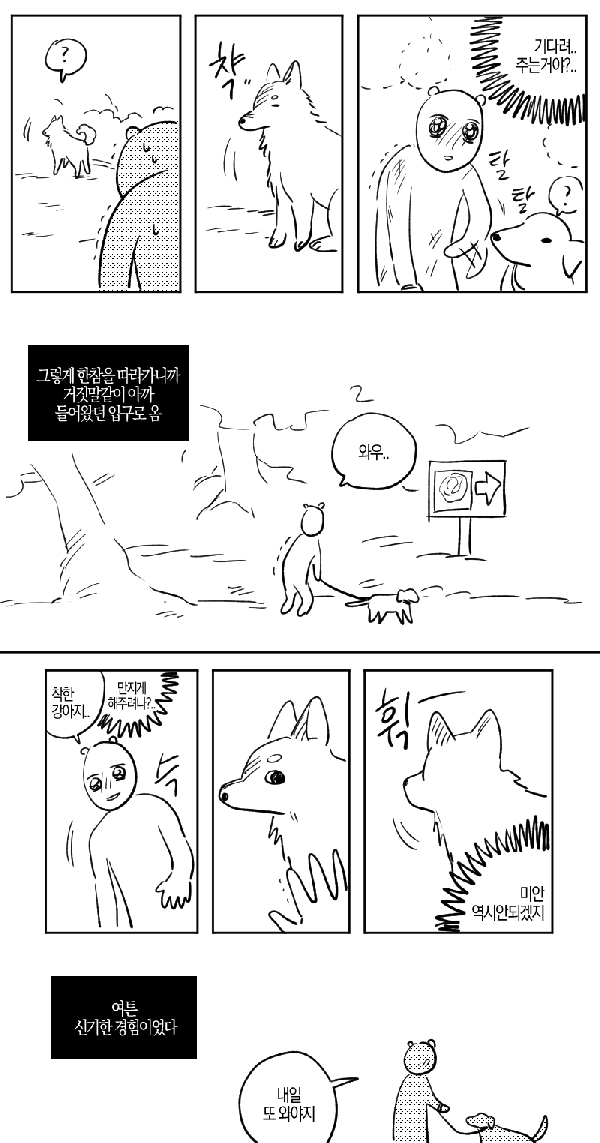 산책중에 만난 길 안내 해주던 유기견
