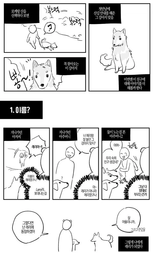 산책중에 만난 길 안내 해주던 유기견