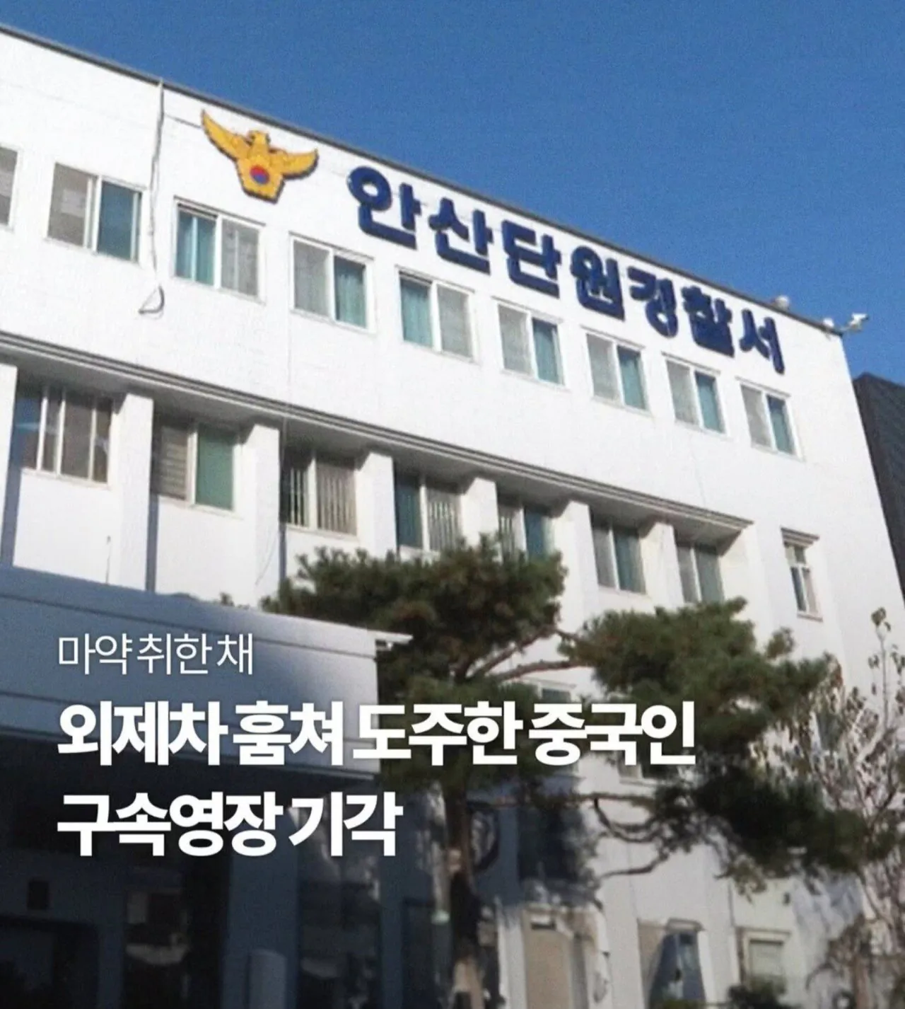 한국에 있는 외국인 근황