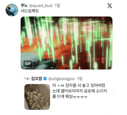 감자 사놓고 잊어버렸는데 열자마자 소리지름