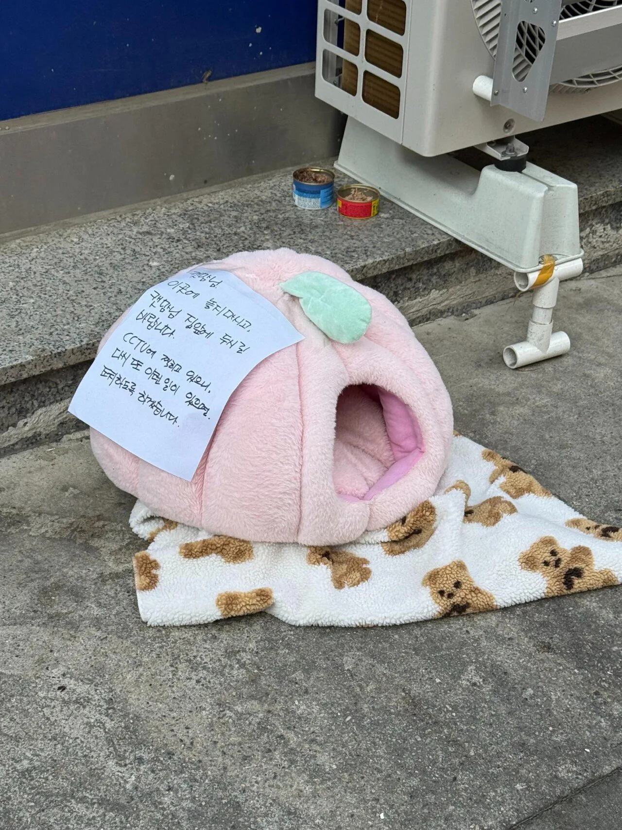 길냥이 캣맘에 대한 점주의 경고문