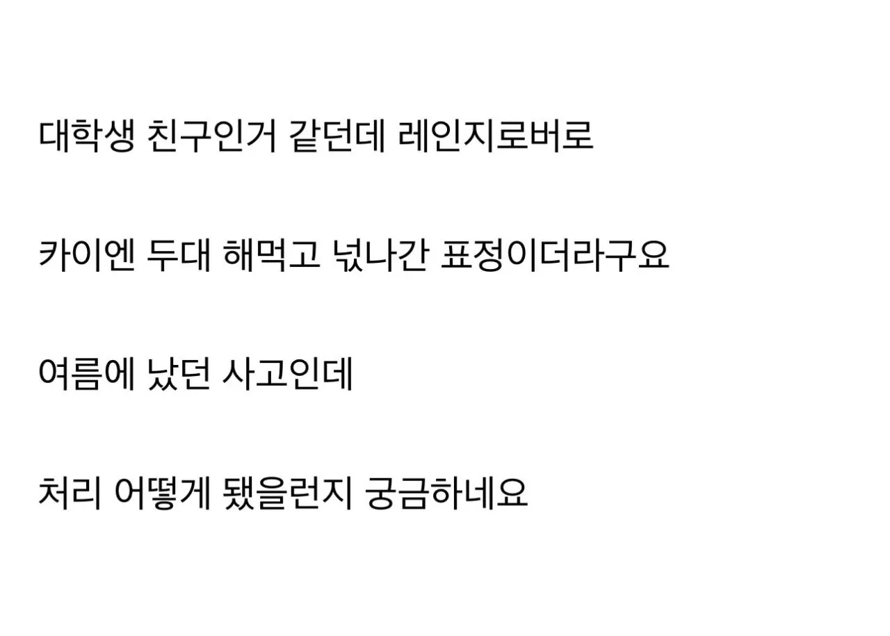 레고랜드 발렛알바 사고