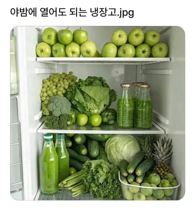 야밤에 열어도 된다는 냉장고