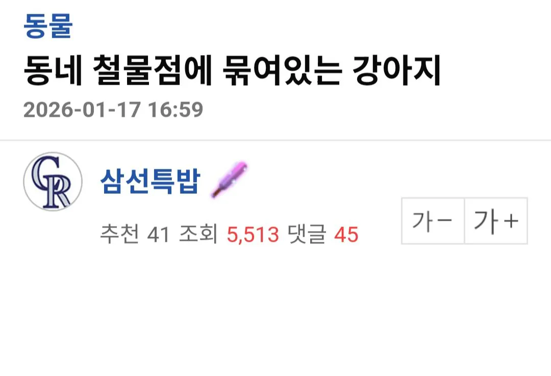 동네 철물점에 묶여있는 강아지