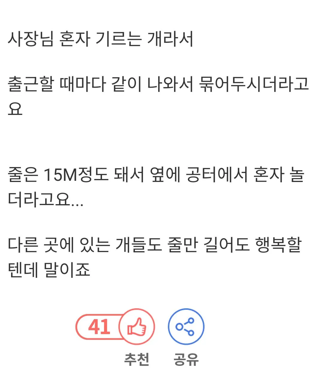 동네 철물점에 묶여있는 강아지