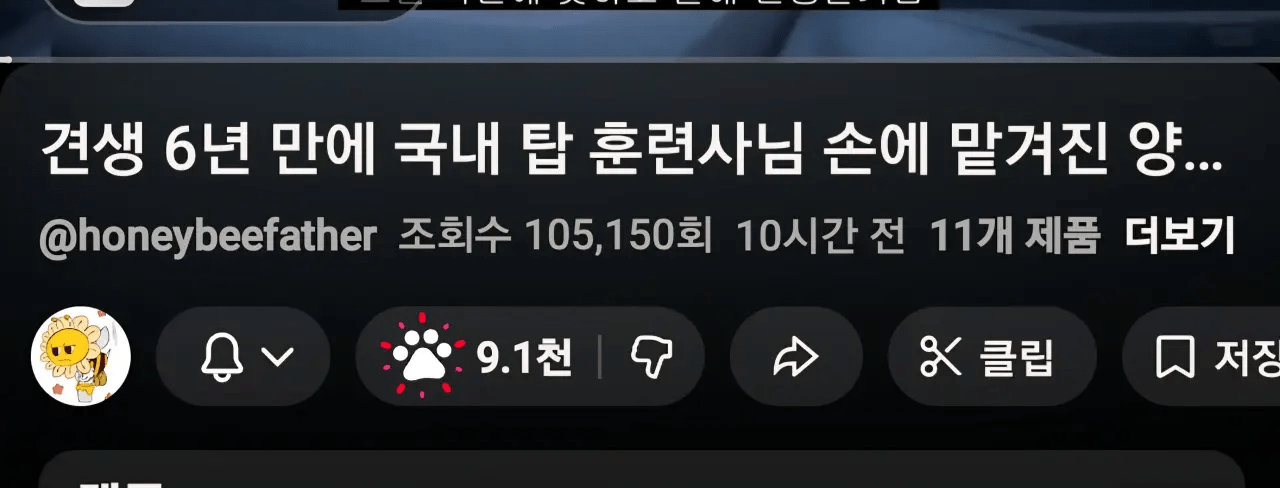 유튜브에 추가된 개추 시스템 ㄷㄷㄷ