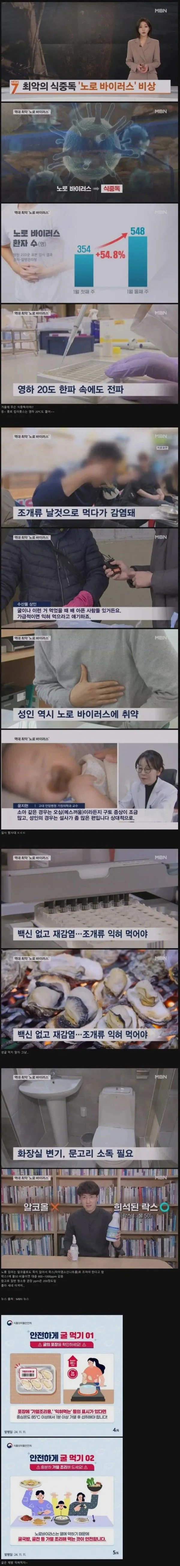 최근 노로 바이러스 근황