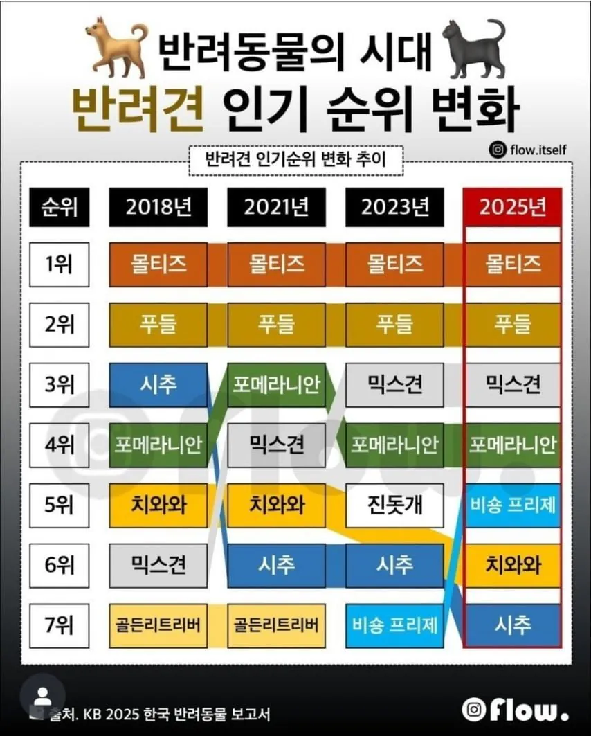 반려견 인기 순위