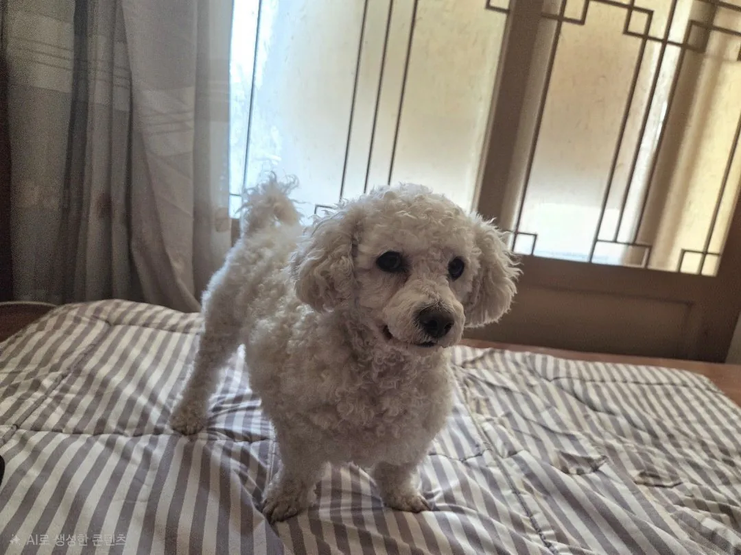 내친구 복돌이 처음 올립니다