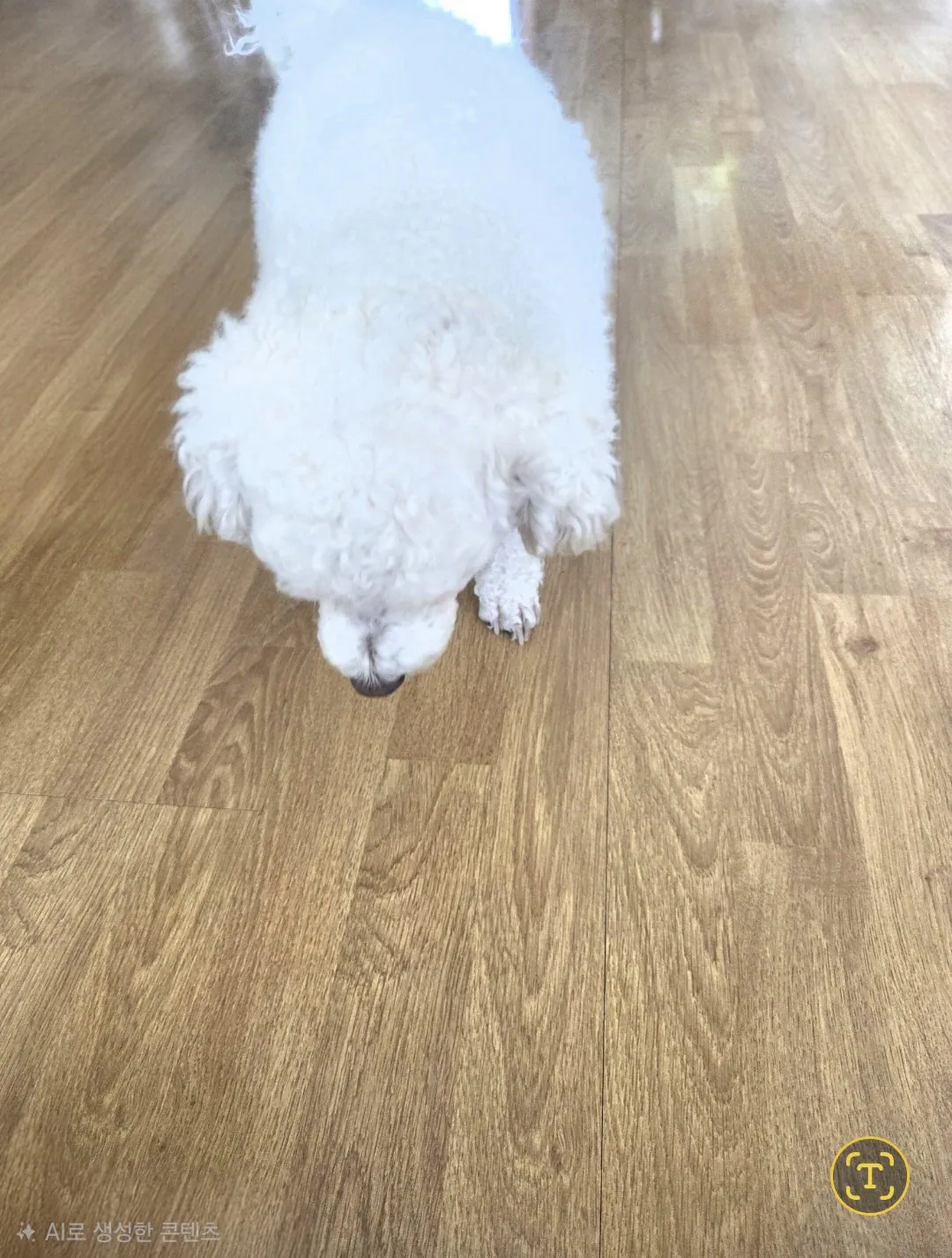 내친구 복돌이 처음 올립니다