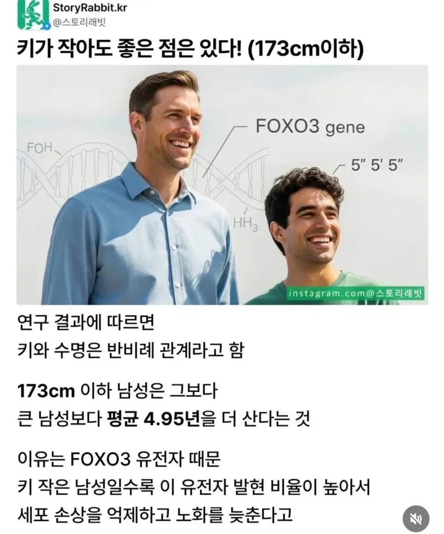 키 작아도 좋은 점 173cm 이하