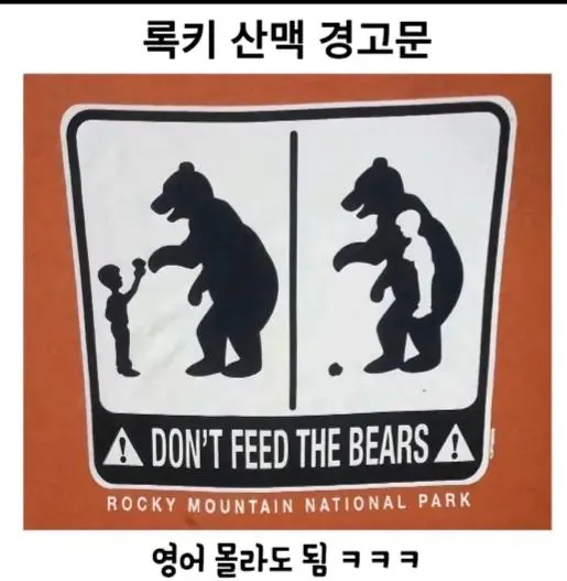 곰에게 먹이를 주지 마시오