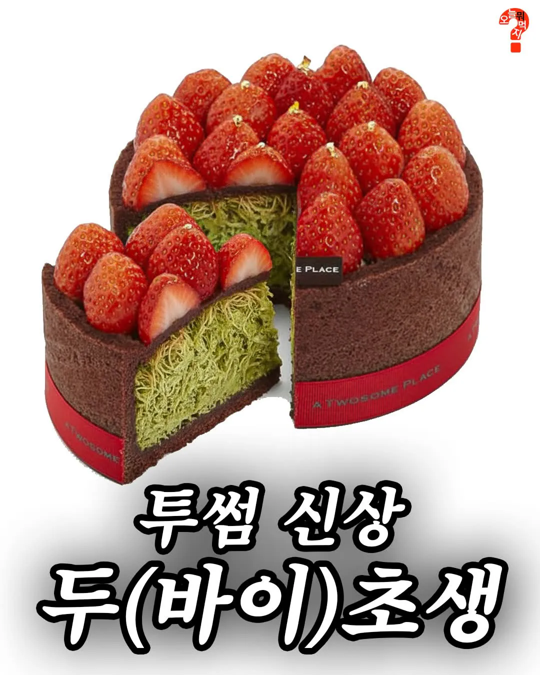 투썸 신상 