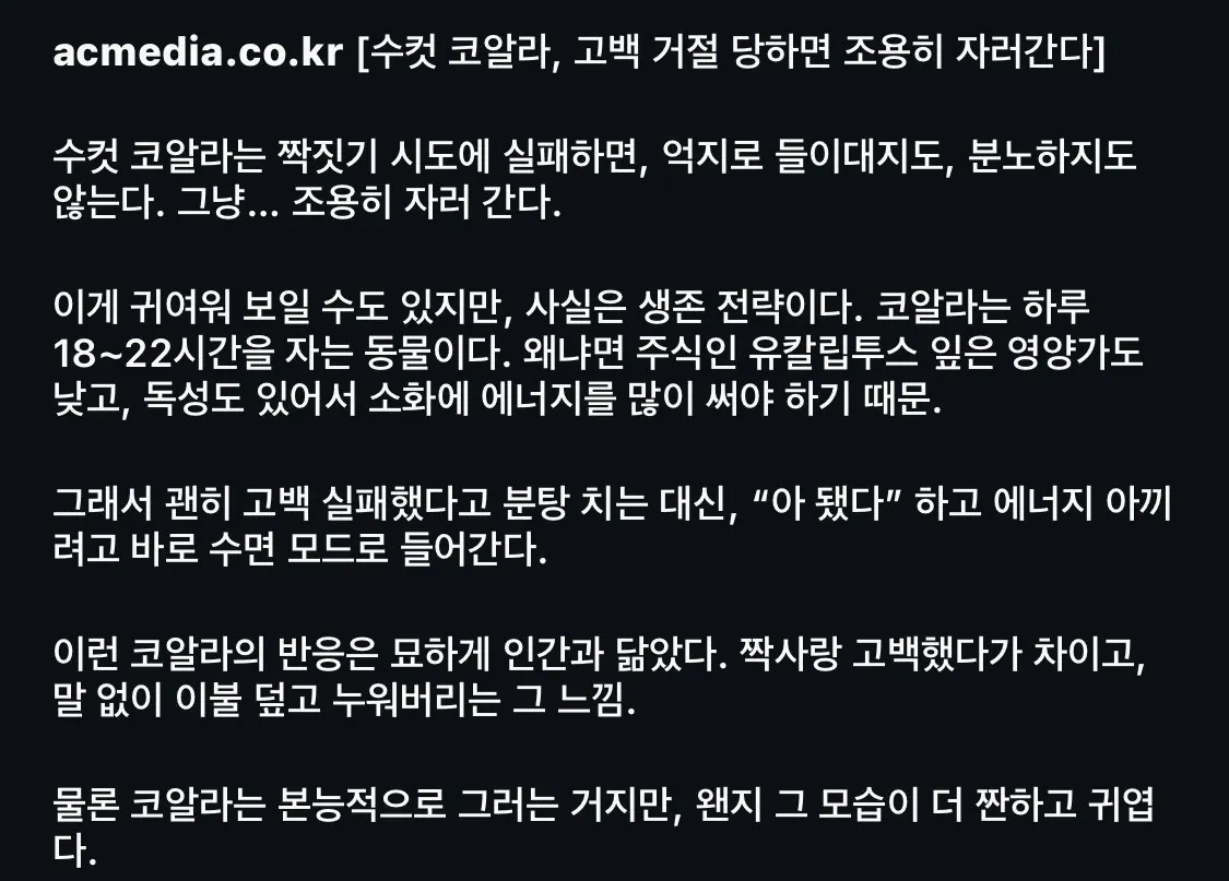 수컷 코알라가 고백 거절당하면 하는 행동
