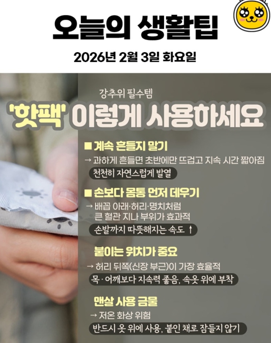 3일 꿀팁스