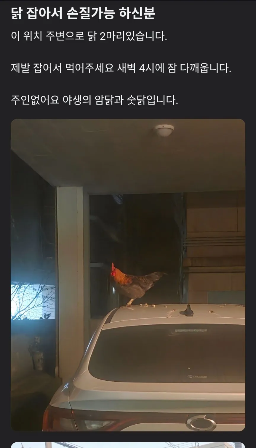 명절 당근 무나 ㄷㄷ