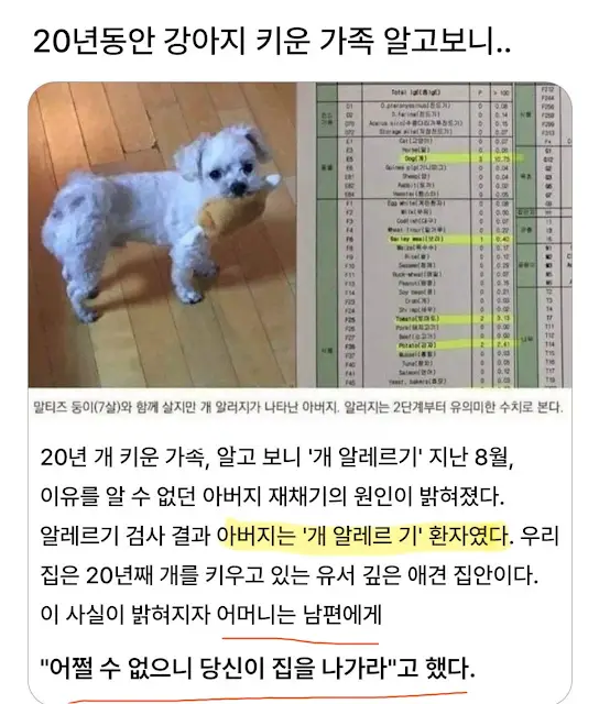 20년간 키운 반려견