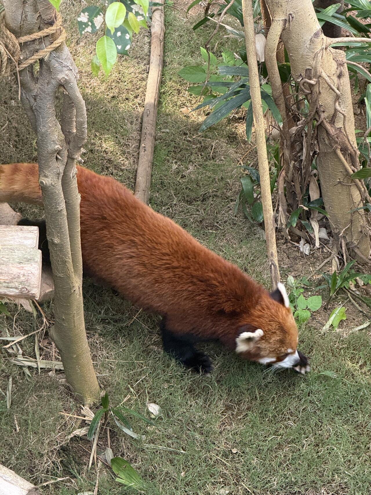 홍콩해양공원