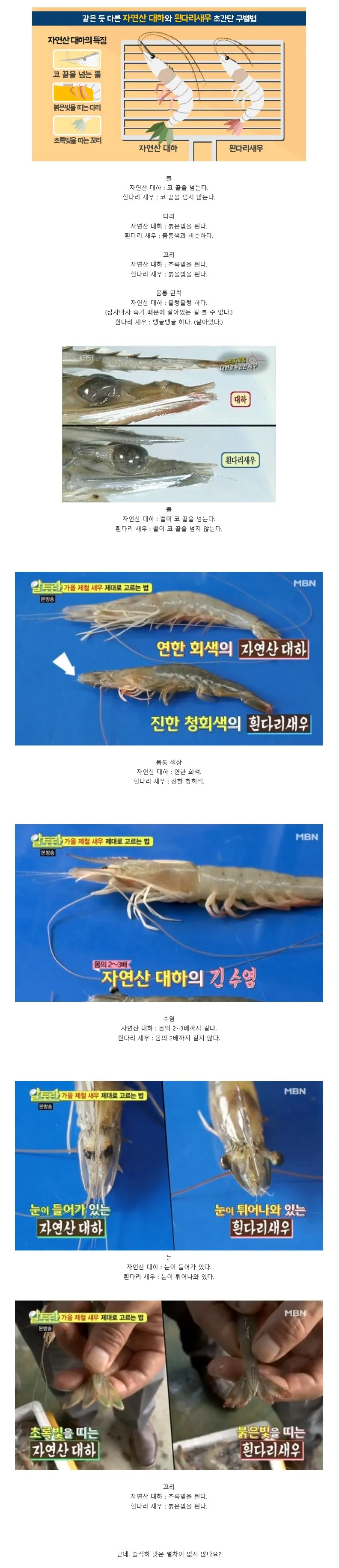 자연산 대하와 흰다리새우 구별법