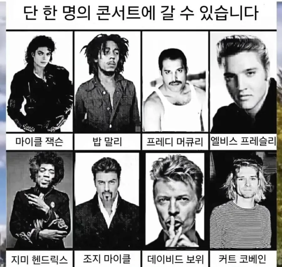 단 한명의 콘서트만 갈수있습니다