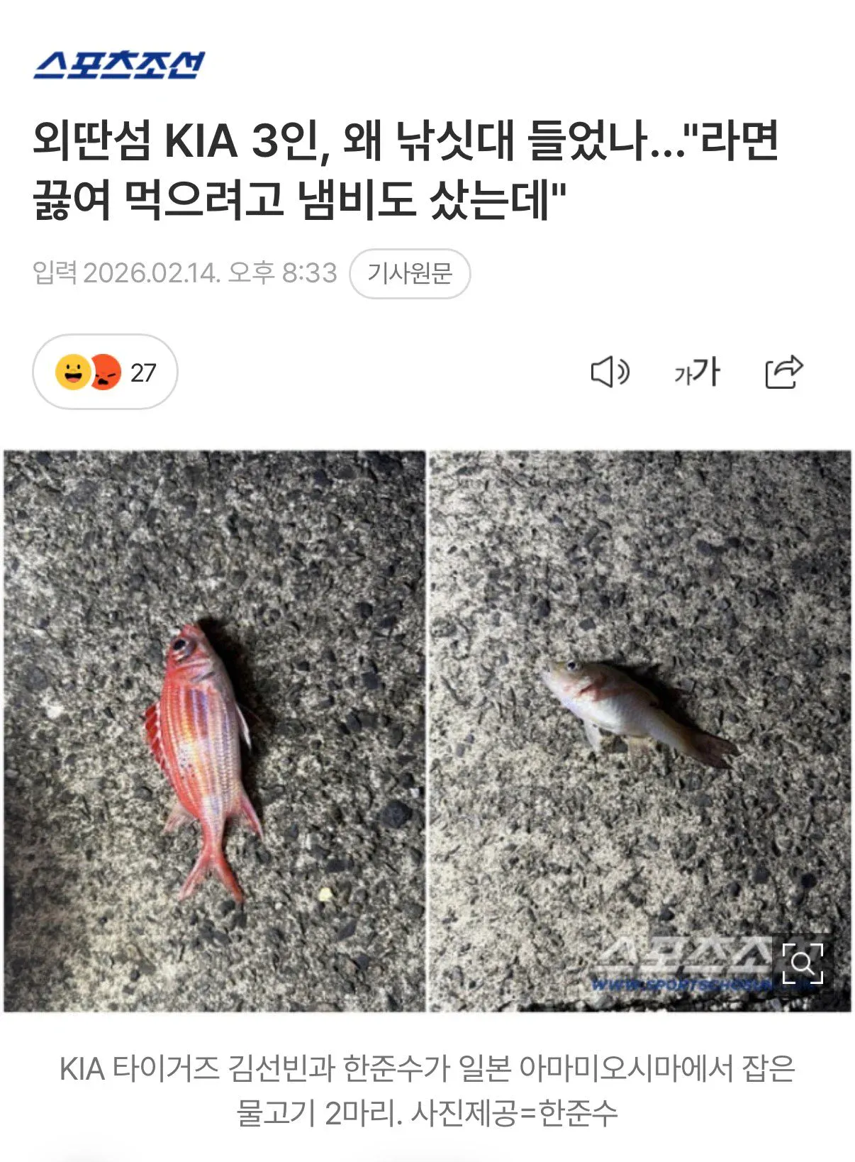기아 타이거즈 선수들이 휴식일에 하는 일