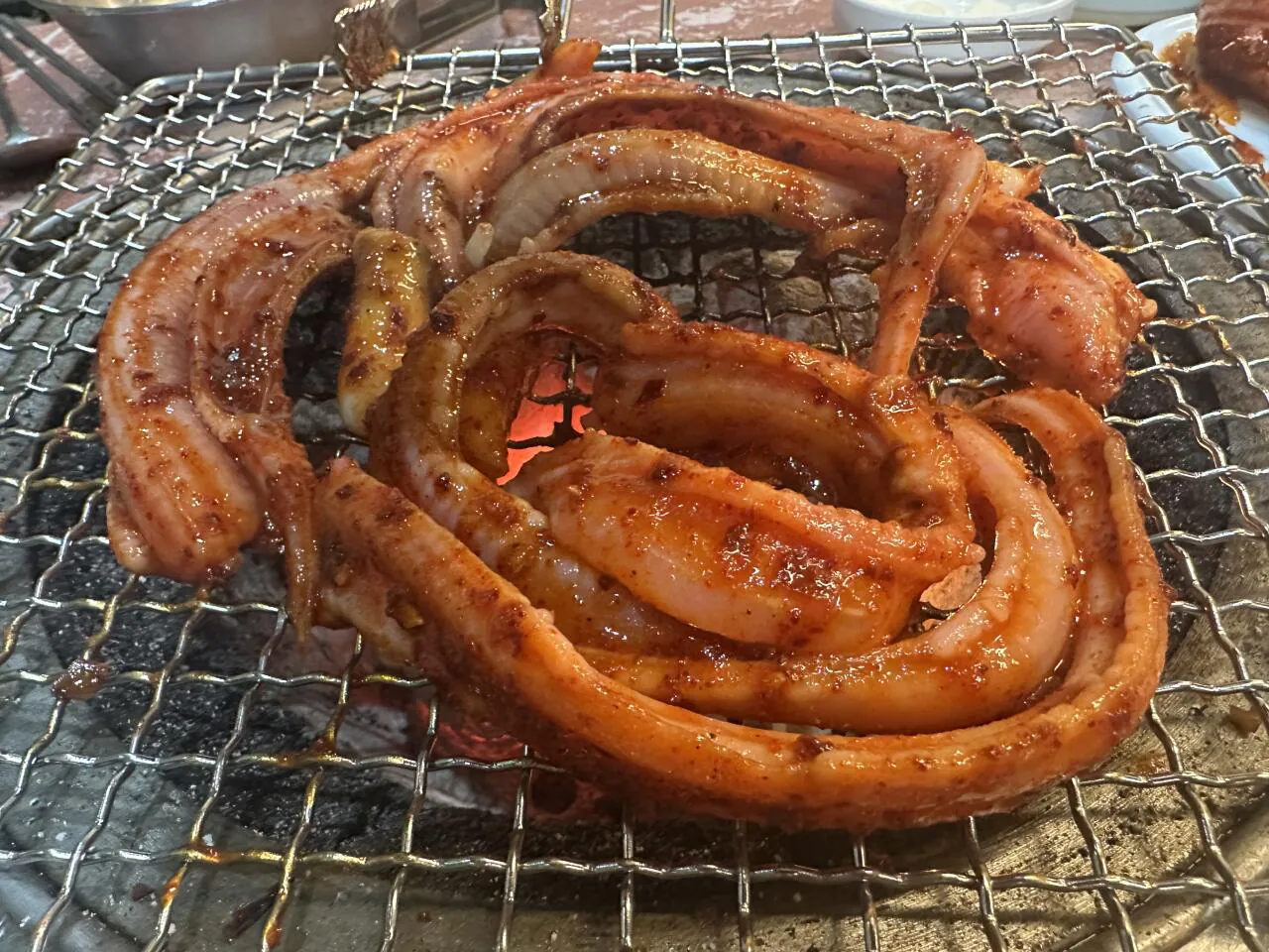 꼼장어