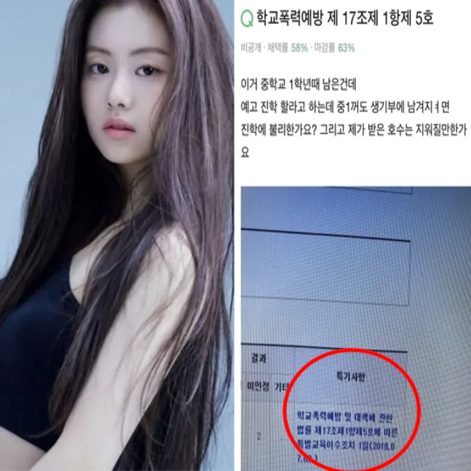 르세라핌 김가람이 썻던걸로 추정되는 지식인글