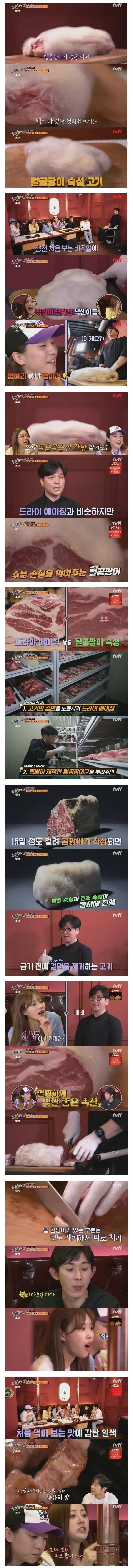 털곰팡이 숙성 고기