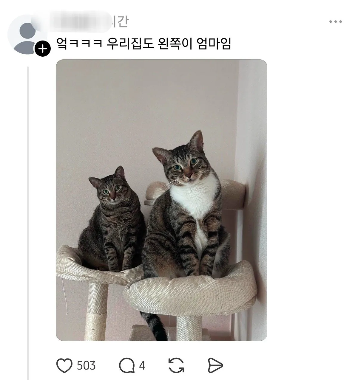 여전히 납득이 안 되는 사실