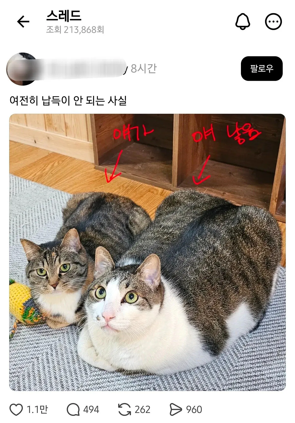 여전히 납득이 안 되는 사실