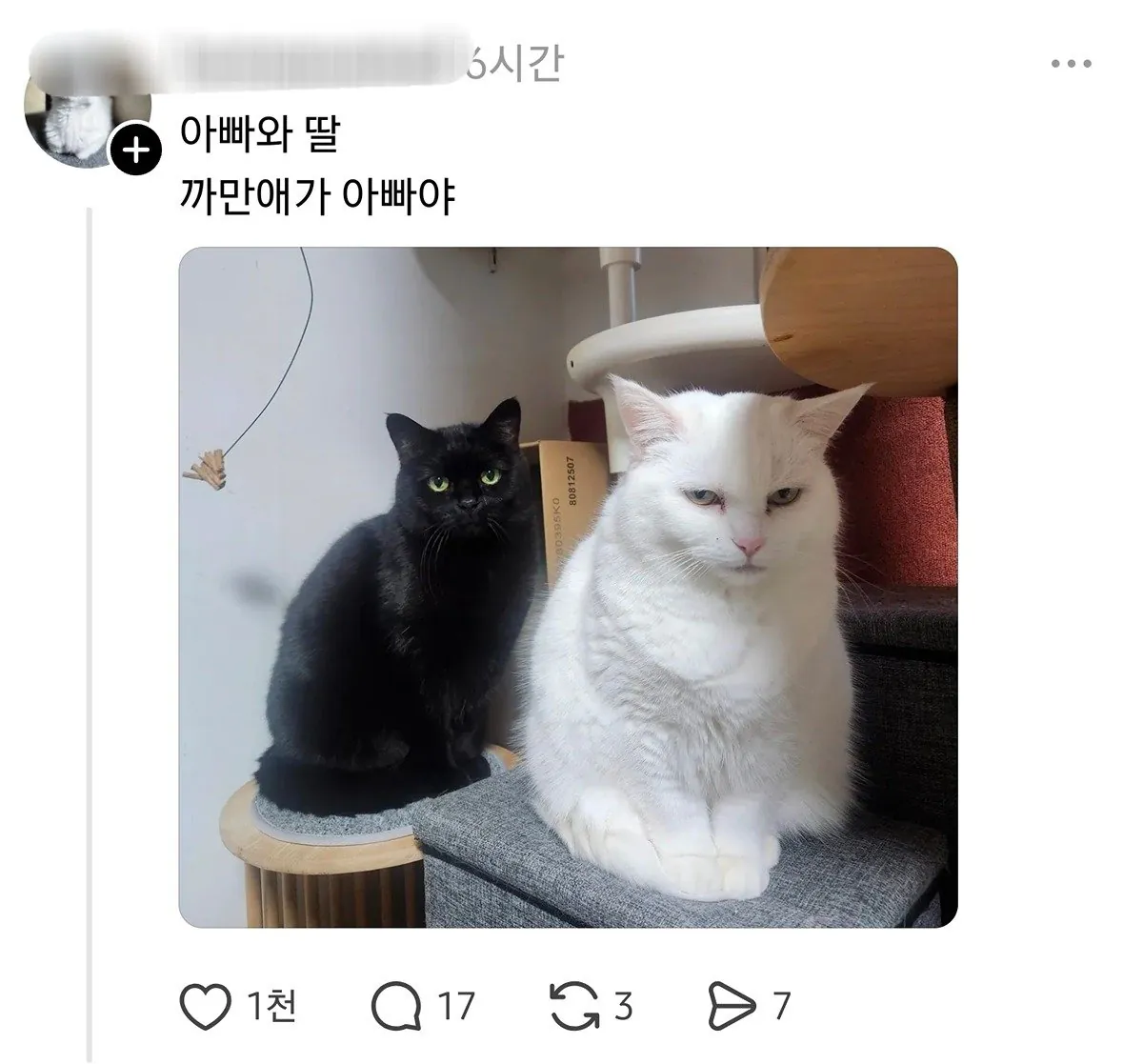 여전히 납득이 안 되는 사실