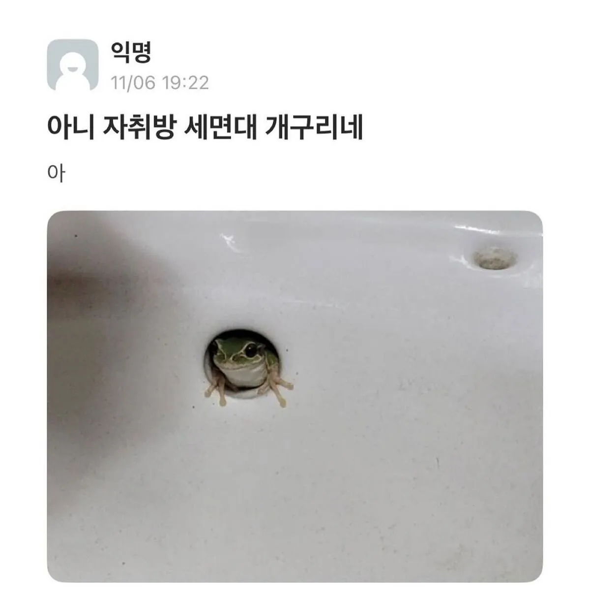 자취방 세면대 개구리네 진짜