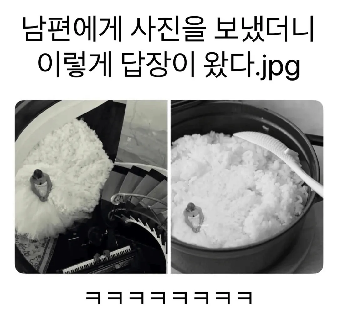 남편에게 사진을 보냈더니 이렇게 답장이 왔다.jpg