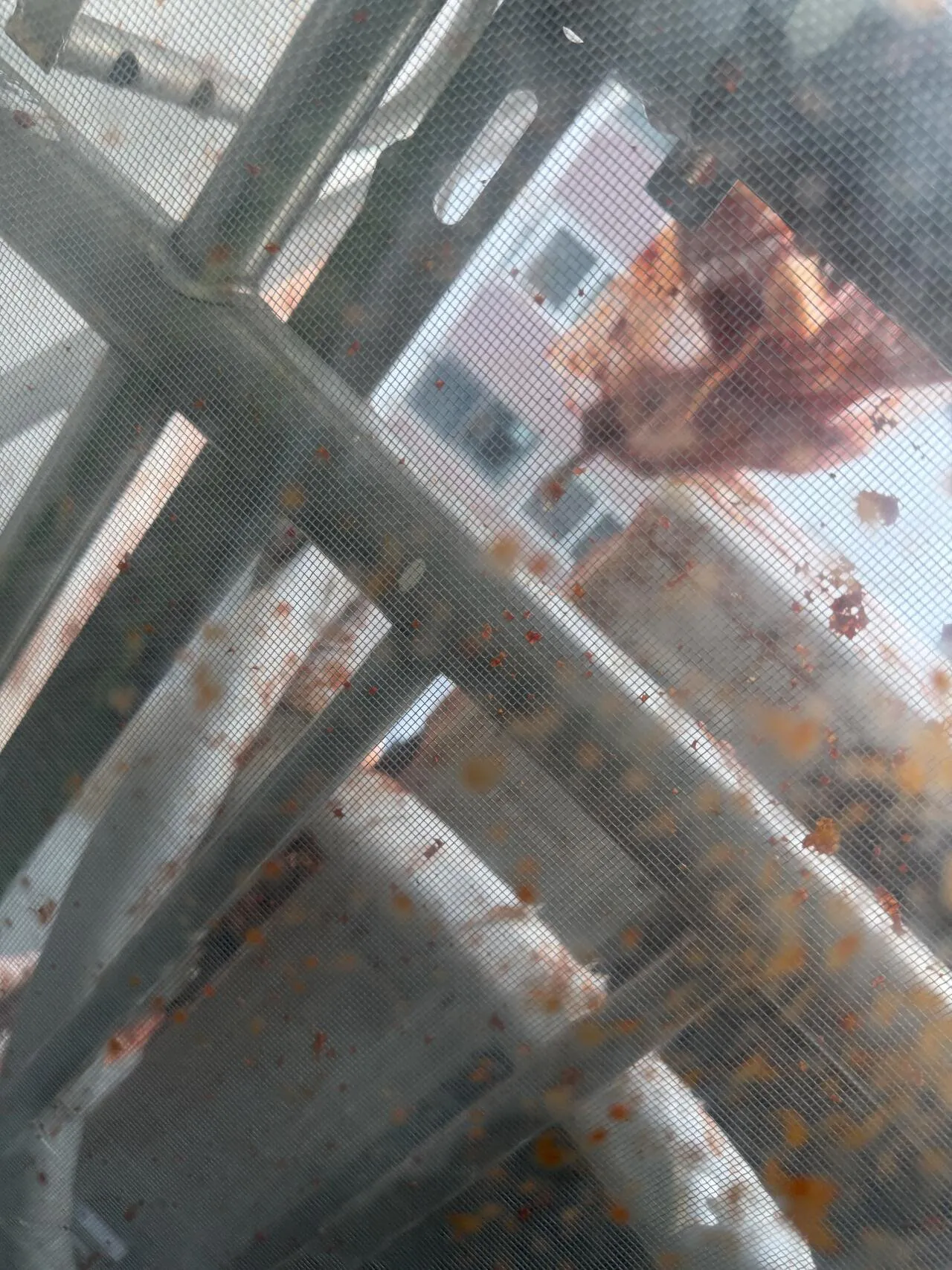 명절에 김치 폭탄 맞았다