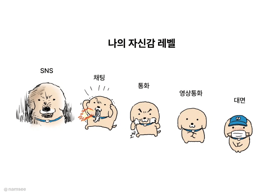 매체별 자신감 레벨 