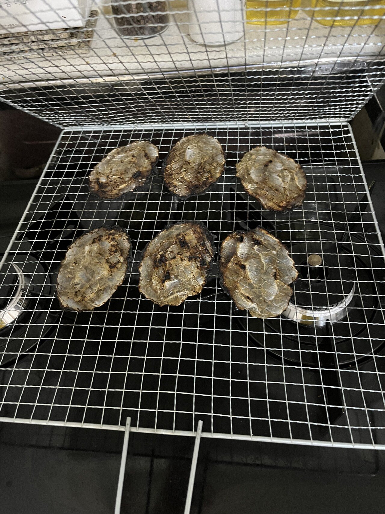 이런것도 좋아 하시나요??