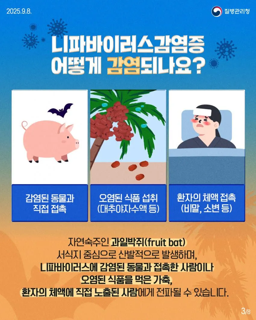 현재 점점 퍼지고있는 바이러스