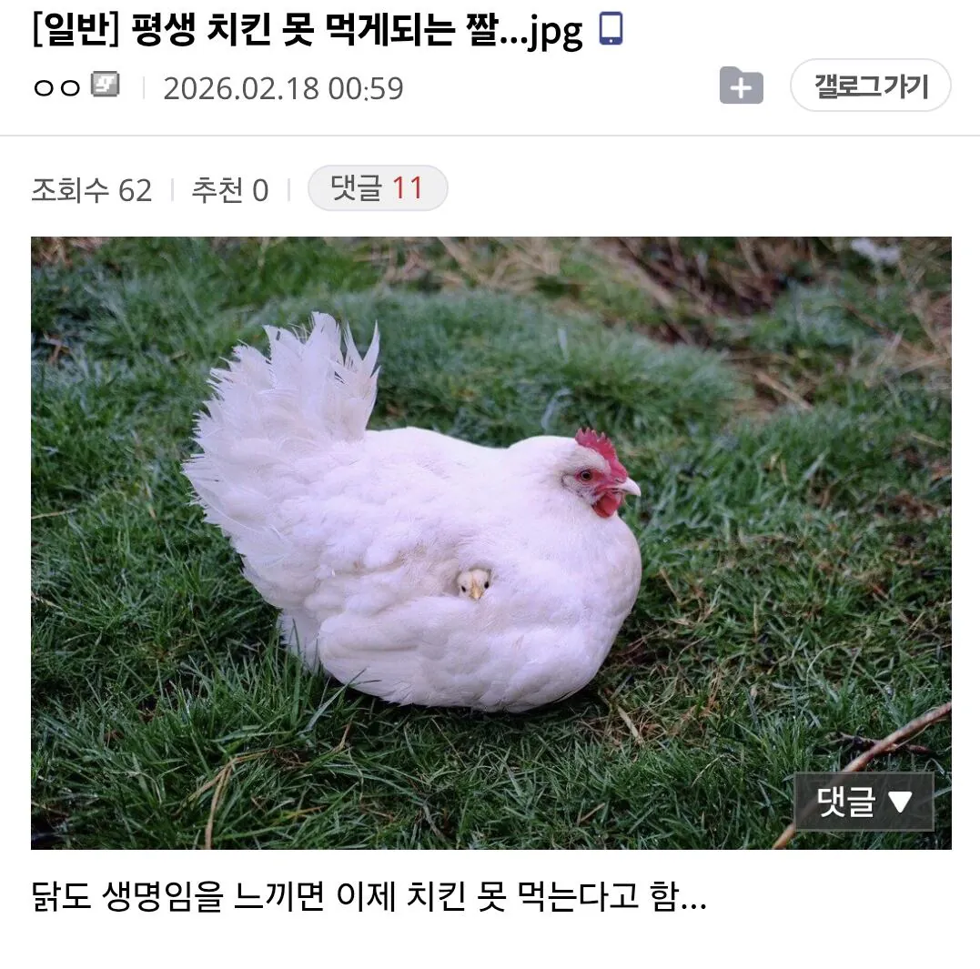 평생 치킨 못 먹게되는 짤