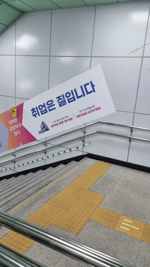 취업? 그거 좆도 아닙니다