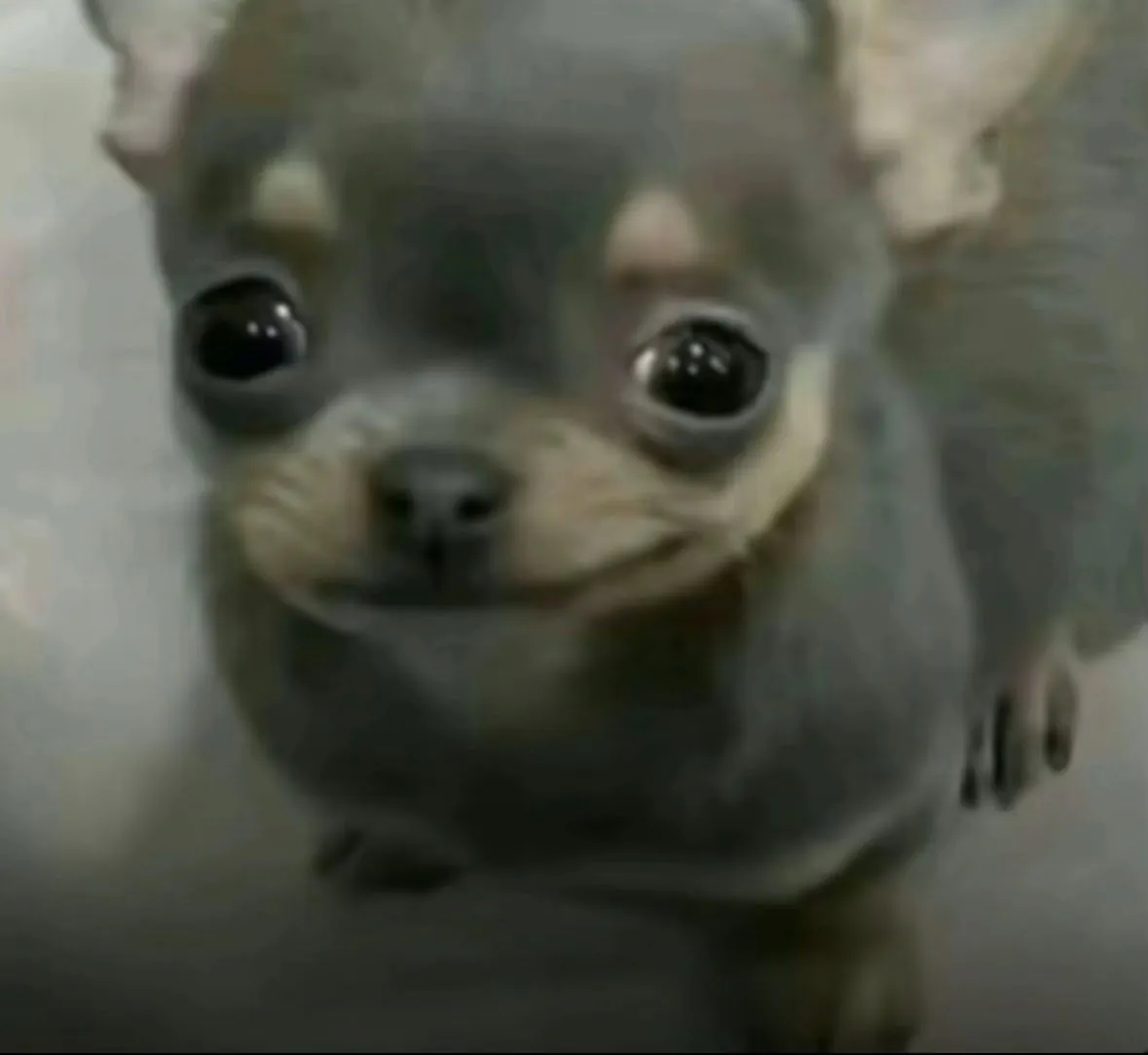 크팰 마테타 일처리 진짜 ㅂㅅ이네ㅋㅋㅋ