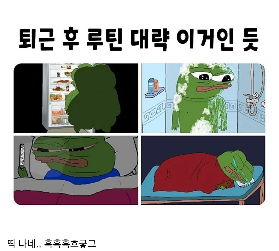 직장인들 퇴근 후 국룰...