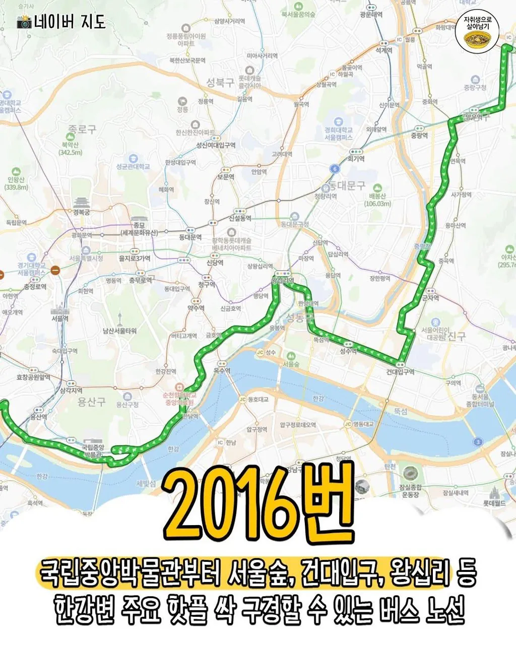 버스타고 '서울'구경하기