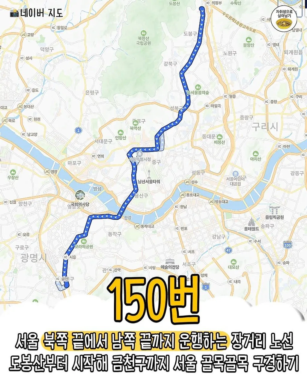 버스타고 '서울'구경하기