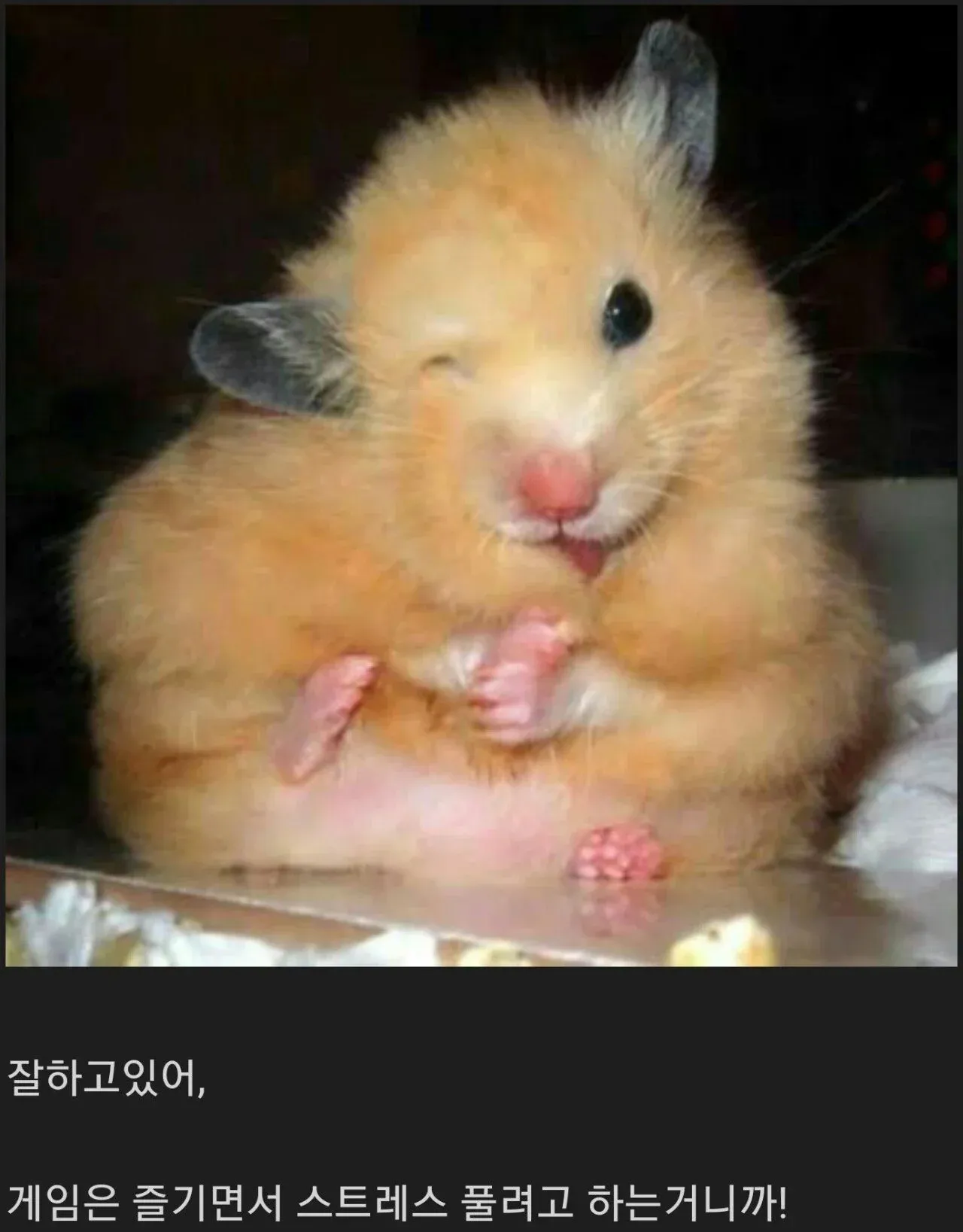 게임난이도 '쉬움' 만 고르는 개좆밥들만 봐라